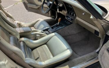 Chevrolet-corvette-1982-brown-18