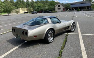 Chevrolet-corvette-1982-brown-28