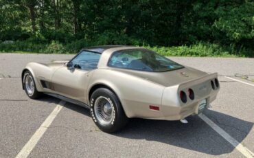 Chevrolet-corvette-1982-brown-6