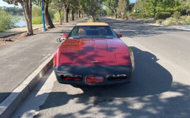 Chevrolet-corvette-1988-custom-4