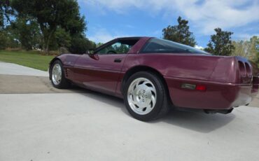 Chevrolet-corvette-1993-19