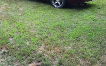 Chevrolet-corvette-1993-3