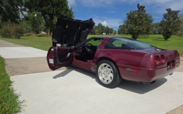 Chevrolet-corvette-1993-5