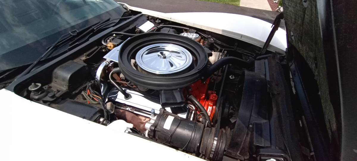 Chevrolet-corvette-coupe-1973-white-8