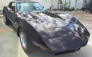 Chevrolet-corvette-coupe-1974-3