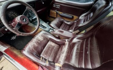 Chevrolet-corvette-coupe-1980-11