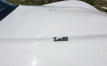 Chevrolet-corvette-coupe-1980-4