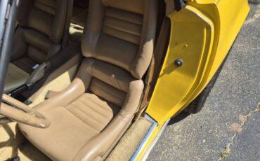 Chevrolet-corvette-coupe-1981-yellow-3