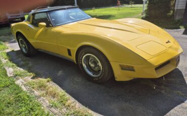 Chevrolet-corvette-coupe-1981-yellow-6