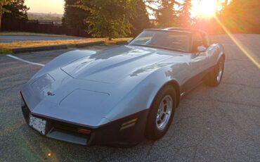 Chevrolet-corvette-diesel-1982-5