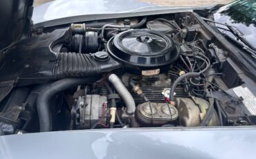 Chevrolet-corvette-silver-anniversary-1978-silver-2