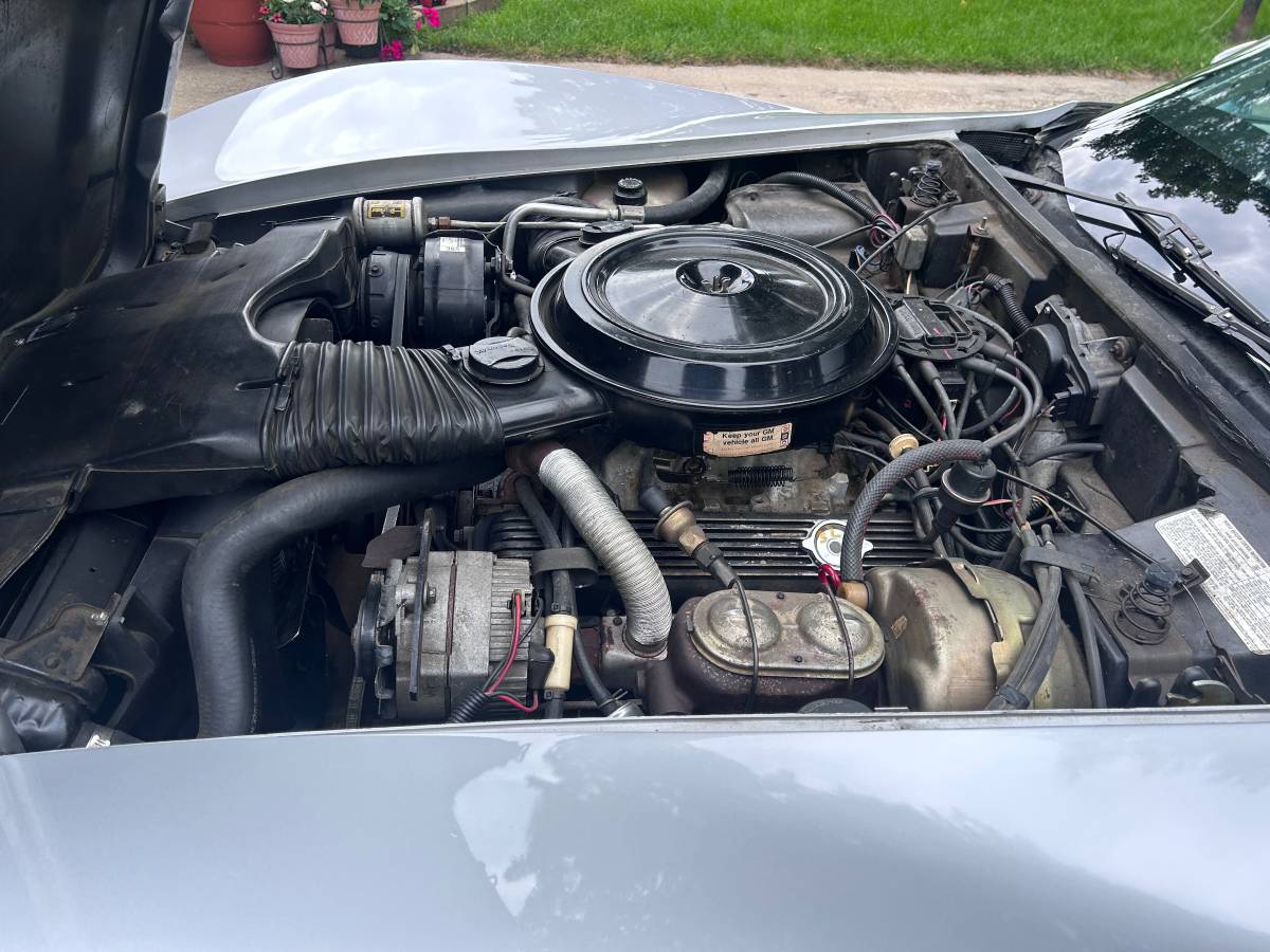 Chevrolet-corvette-silver-anniversary-1978-silver-2