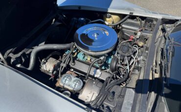 Chevrolet-corvette-silver-anniversay-1978-silver-13