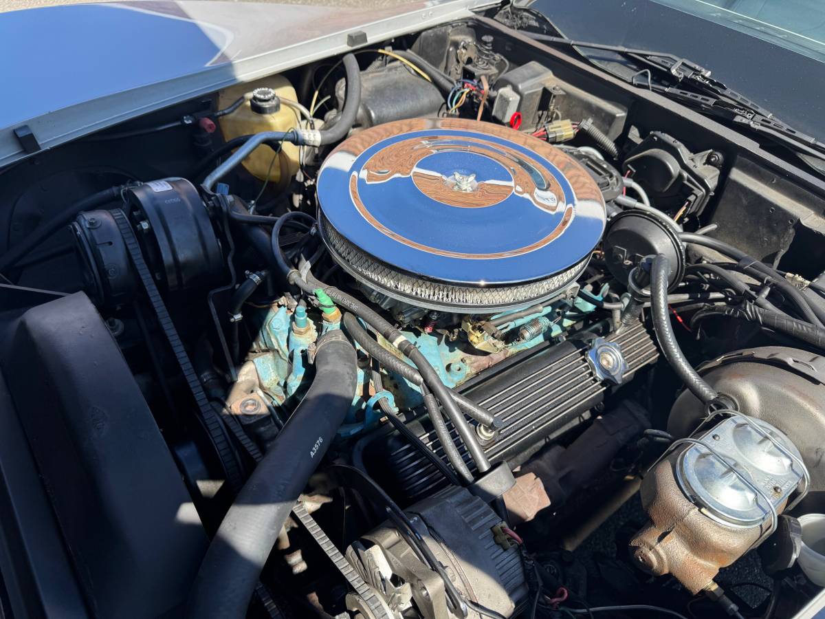 Chevrolet-corvette-silver-anniversay-1978-silver-14