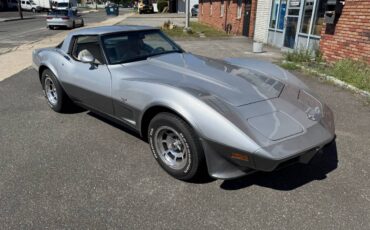 Chevrolet-corvette-silver-anniversay-1978-silver-2