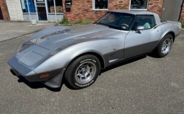 Chevrolet-corvette-silver-anniversay-1978-silver-5