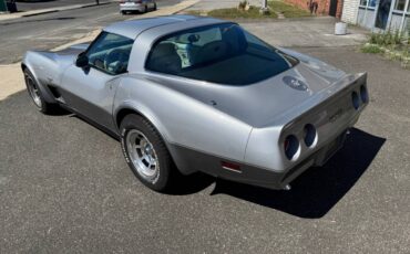 Chevrolet-corvette-silver-anniversay-1978-silver-8