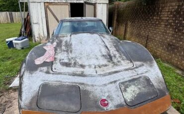Chevrolet-corvette-stingray-1976-2