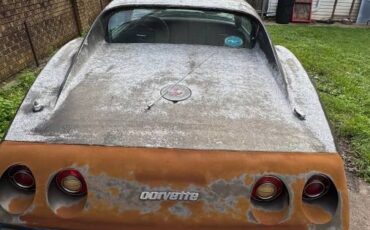 Chevrolet-corvette-stingray-1976-3