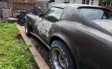 Chevrolet-corvette-stingray-1976-4