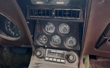 Chevrolet-corvette-stingray-1976-8