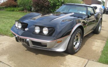 Chevrolet-corvette-stingray-1978-14