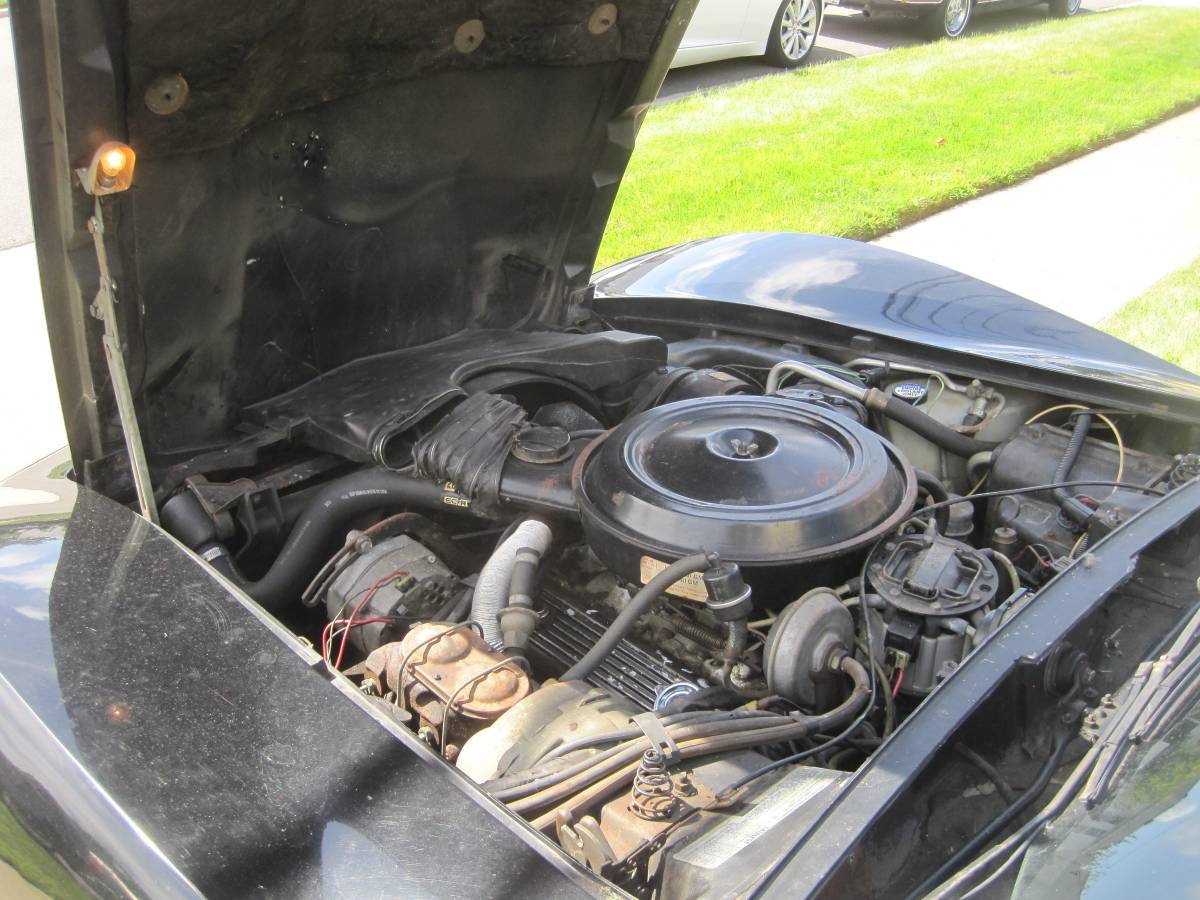 Chevrolet-corvette-stingray-1978-17
