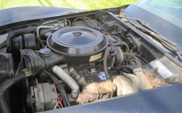 Chevrolet-corvette-stingray-1978-18