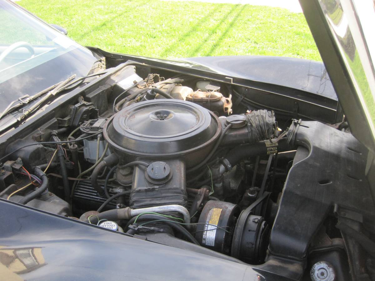 Chevrolet-corvette-stingray-1978-21