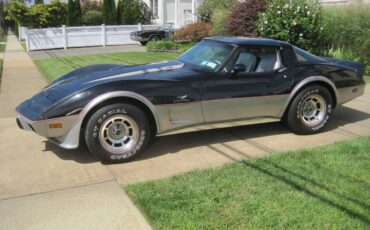 Chevrolet-corvette-stingray-1978-4