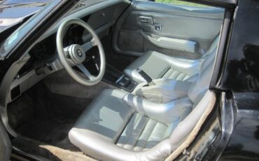 Chevrolet-corvette-stingray-1978-9