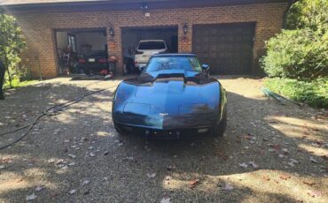 Chevrolet-corvette-stingray-1979-green-1
