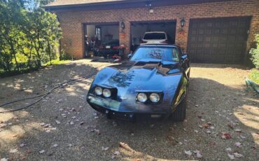 Chevrolet-corvette-stingray-1979-green-2