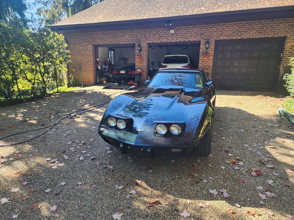 Chevrolet-corvette-stingray-1979-green-2