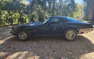 Chevrolet-corvette-stingray-1979-green-3