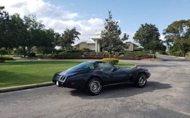 Chevrolet-corvette-stingray-1979-green