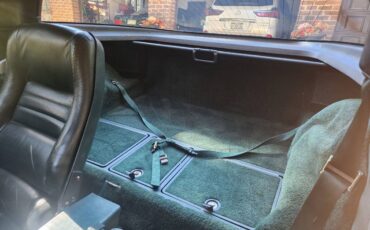 Chevrolet-corvette-stingray-1979-green-4