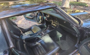 Chevrolet-corvette-stingray-1979-green-5