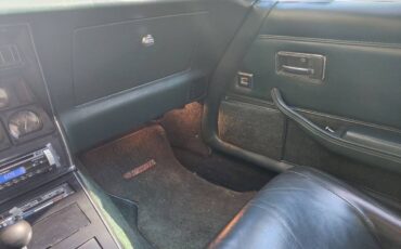 Chevrolet-corvette-stingray-1979-green-6