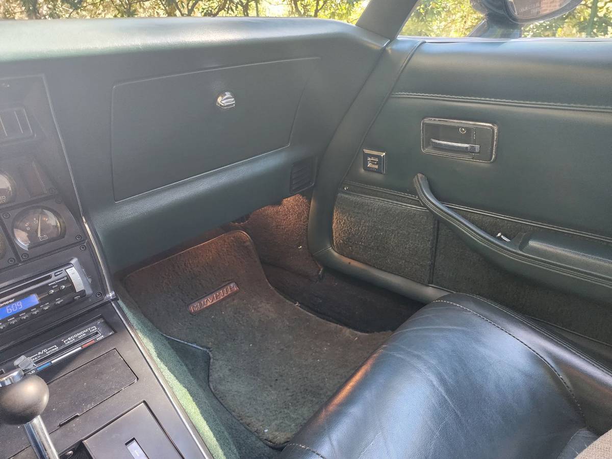 Chevrolet-corvette-stingray-1979-green-6