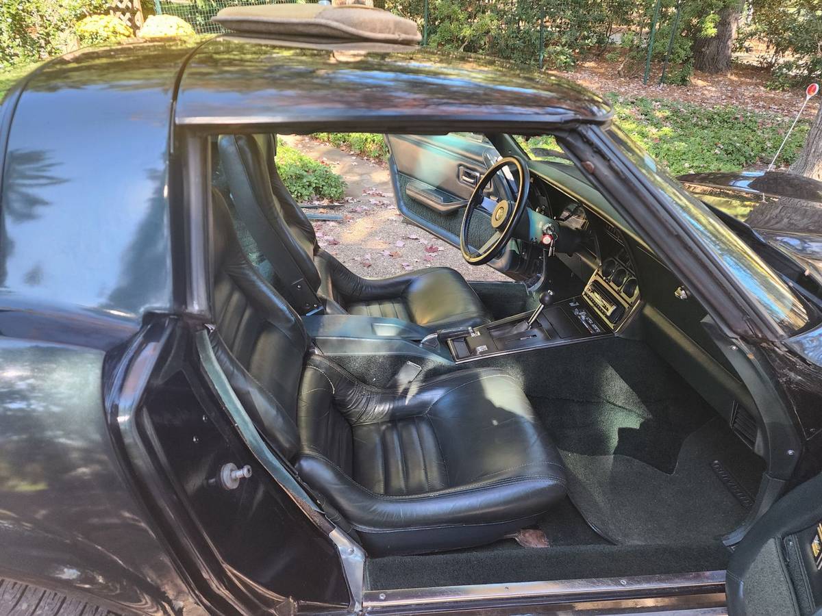 Chevrolet-corvette-stingray-1979-green-8