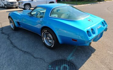 Chevrolet-corvette-w-t-tops-25th-anniversary-1978-blue-22