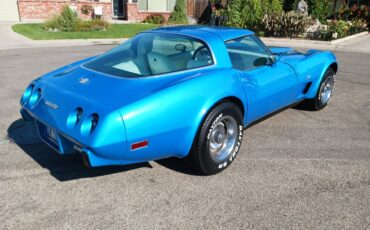 Chevrolet-corvette-w-t-tops-25th-anniversary-1978-blue-8