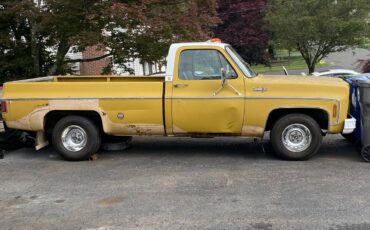 Chevrolet-custom-10-1973-1