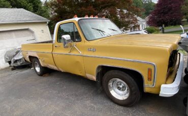Chevrolet-custom-10-1973
