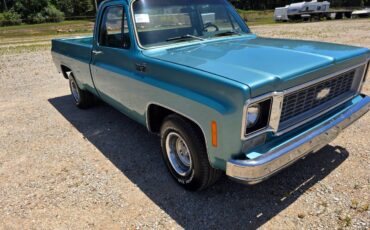Chevrolet-custom-deluxe-10-1977-2