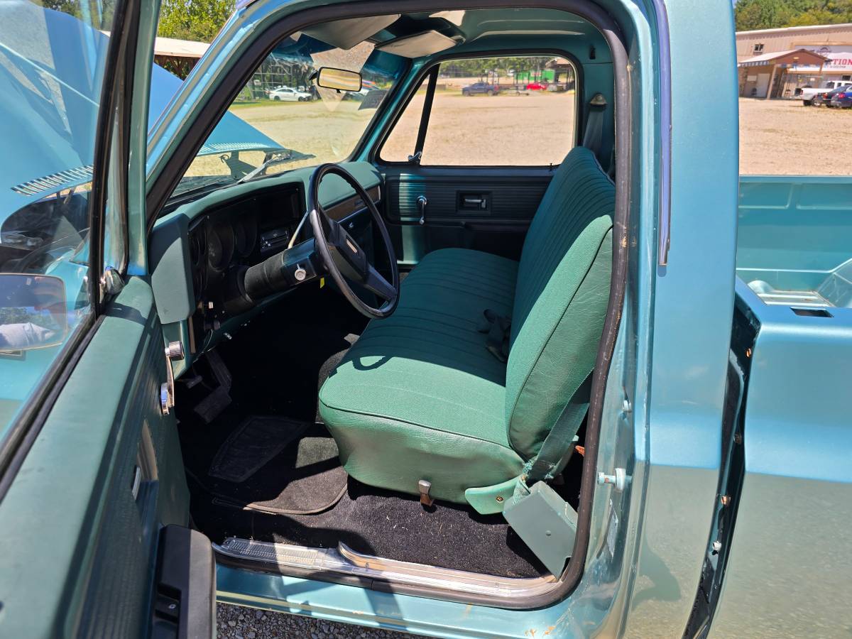 Chevrolet-custom-deluxe-10-1977-20