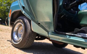 Chevrolet-custom-deluxe-10-1977-22