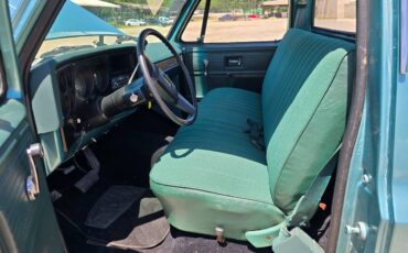 Chevrolet-custom-deluxe-10-1977-23