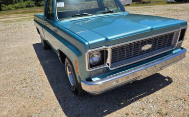 Chevrolet-custom-deluxe-10-1977-3